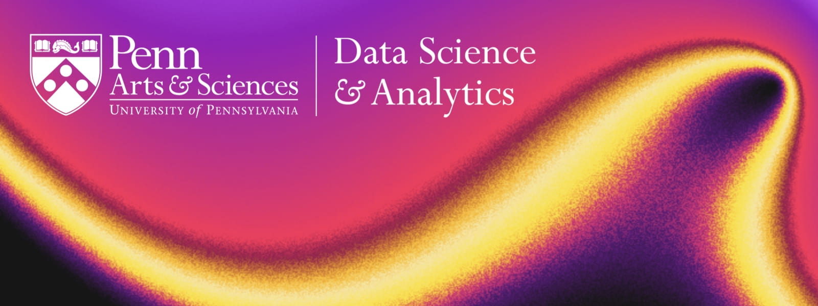 Data Science and Analytics Minor
