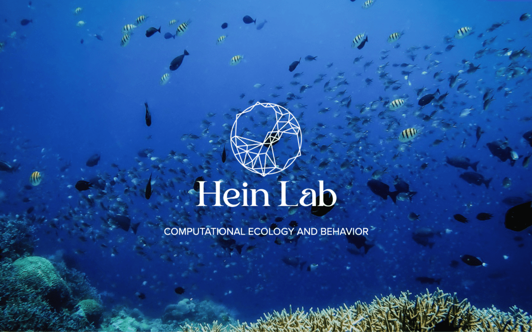 Hein Lab