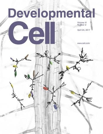 See our publication on Developmental Cell cover