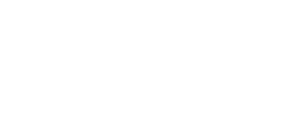 Political Economy of Gender