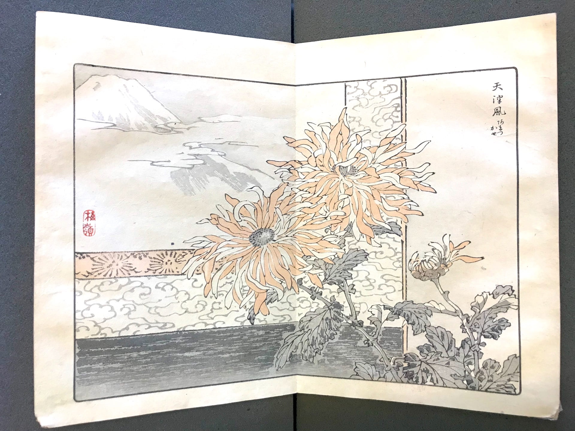Kōno Bairei 幸野楳嶺, Bairei kiku hyakushu 梅嶺菊百種 ca. 1891-96