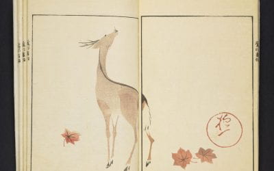 SAKAI HŌITSU 酒井抱一, ŌSON GAFU 鶯邨画譜, 1817