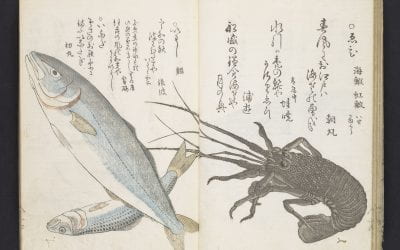 KATSUMA RYŪSUI 勝間竜水, UMI NO SACHI 海幸, 1762