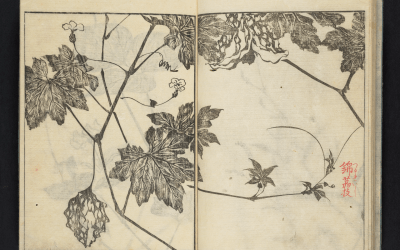 Yamaguchi Soken 山口素絢 Soken gafu sōka no bu 素絢画譜草花之部, 1806