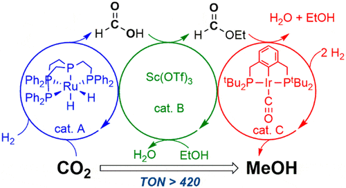 A catalytic cascade system for CO2 hydrogenation to MeOH under acidic conditions is described. The reaction uses three catalysts which promote stepwise formation and conversion of formic acid and formate ester intermediates. 